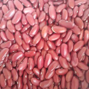 ID 600 - ARGENFOOD SRL - Poroto Dark Red Kindey (DRK) - Destino: España