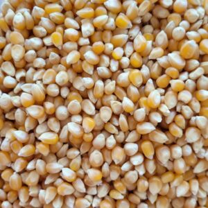 ID 606 - ELEMENTA FOODS - POP CORN - DESTINO: FRANCIA
