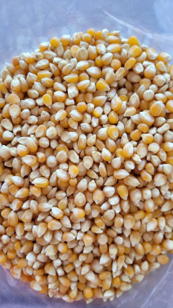 ID 606 - ELEMENTA FOODS - POP CORN - DESTINO: FRANCIA
