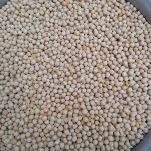 ID 609 - ELEMENTA FOODS - ARVEJA AMARILLA - DESTINO: CHINA
