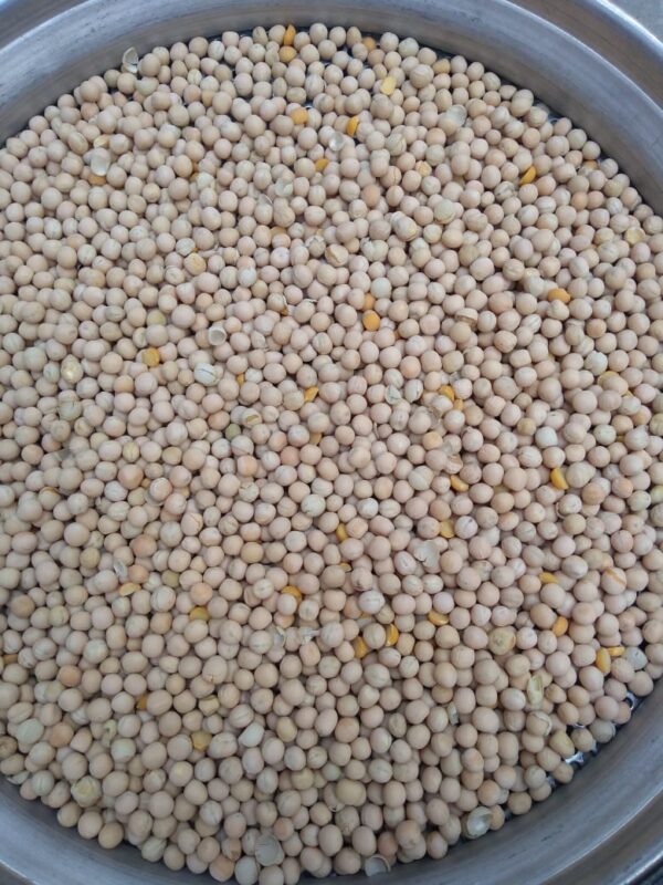 ID 609 - ELEMENTA FOODS - ARVEJA AMARILLA - DESTINO: CHINA