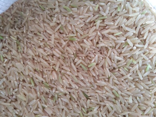 ID 626 – 	IBERA MERCANTIL S.A – (ARROZ)– Destino: Valencia, España.