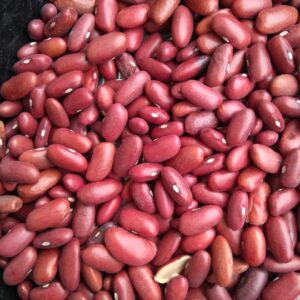 ID 631 – DELOTTE S.A – POROTO DARK RED KIDNEY- DESTINO: LISBOA / PORTUGAL
