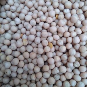 ID 630 – ELEMENTA FOODS – WHOLE YELLOW PEAS- DESTINO: QINGDAO
