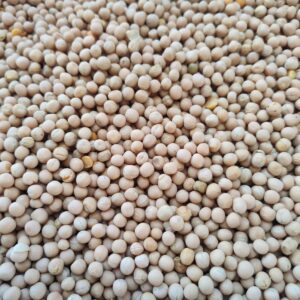 ID 635 – ELEMENTA FOODS – ARVEJA AMARILLA - DESTINO CHINA