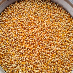 ID 639 – MAN AGRO S.A– POPCORN- DESTINO: Lome, Togo