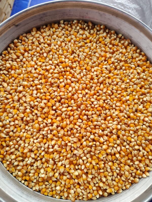 ID 640 – MAN AGRO S.A– POPCORN- DESTINO: Abidjan, Costa de Marfil