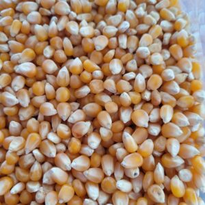 ID 675 – Man Agro S.A– Popcorn - Destino: Israel (4x20)