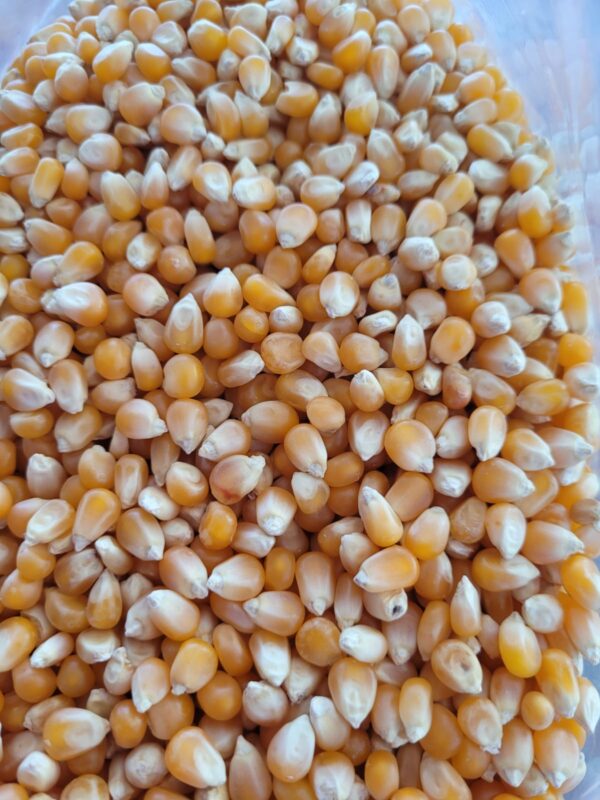 ID 675 – Man Agro S.A– Popcorn - Destino: Israel (4x20)