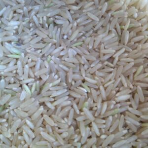 ID 685 - IBERA MERCANTIL SA - ARROZ - DESTINO: ESPAÑA