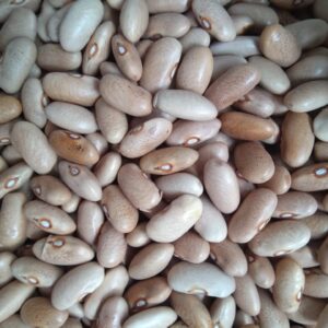 ID 728 - EL CAMPO SA - CANELA BEANS - DESTINO ,ESPAÑA