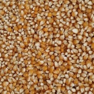 ID 746 – Agropecuaria Carpediem SA – Popcorn – 25.08.2023 5x20 (Orden ACD230808)