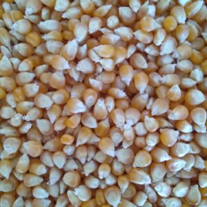 ID 744 - Popcorn - Destino Indonesia - 22-08-23