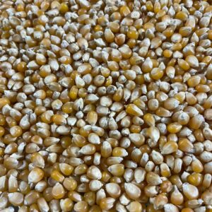 ID 779 - Popcorn - Destino Croacia -  03.11.2023