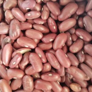 ID 778 - DELOTTE – POROTO DARK RED KIDNEY- DESTINO LISBOA  PORTUGAL