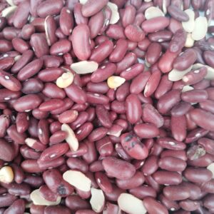 ID 801 - DELOTTE SA - POROTO DARK RED KIDNEY - DESTINO: PAKISTAN