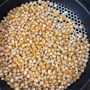 ID 816 - Elementa Foods Argentina - Maíz Pisingallo - Destino Venezuela