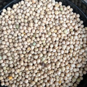 ID 819 - SOUTHERN SEEDS PRODUCTION S.A. - Arveja Amarilla - Destino: India