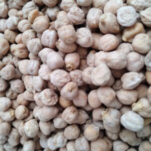 ID 822 – MS Agro SRL – Garbanzo 8mm – Destino: Turquía