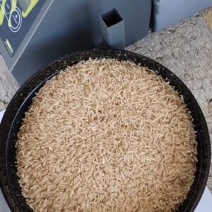 ID 818 - Iberá Mercantil SA - Arroz - Destino: España
