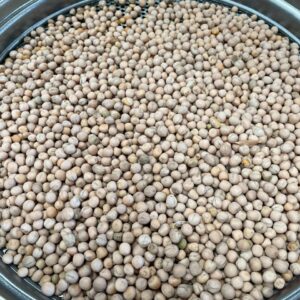 ID 831 - SOUTHERN SEEDS PRODUCTION S.A. (SSP) - Arveja Amarilla - Destino India 8x20