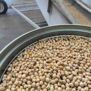 ID 833 - SOUTHERN SEEDS PRODUCTION S.A. (SSP) - Arveja Amarilla - Destino India 12x20