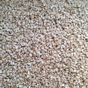 ID 844 - Anta Expo SA - Sésamo - Destino: Italia