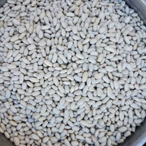 ID 843 - Anta Expo SA - Poroto Alubia - Destino: Portugal