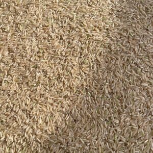 ID 867 - Arroz Integral (Pf 071) - Iberá Mercantil SA - Destino: España