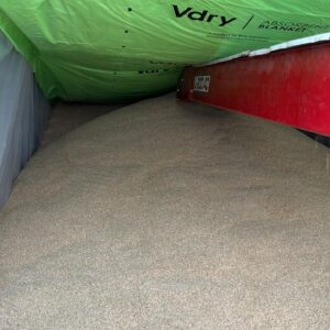 ID 868 - Arroz Integral (Pf 072) - Iberá Mercantil SA - Destino: España