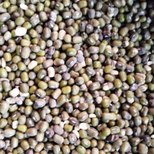 ID 879 - SOUTHERN SEEDS PRODUCTION SA - Poroto Mung - SSP24025 A - Vietnam HOANG PHAT