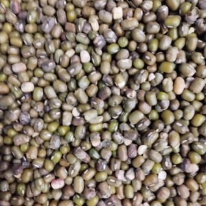 ID 880 - SOUTHERN SEEDS PRODUCTION SA - Poroto Mung - SSP240625 B - Vietnam DUC PHATID