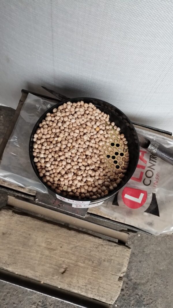 ID 891 - Elementa Foods - Garbanzo 8 mm - Destino Chile CTR 230/2024 - 2249