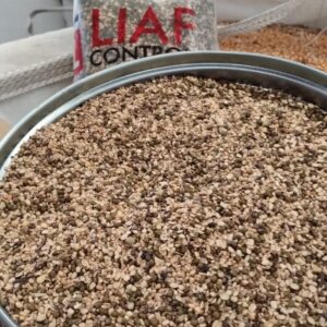 ID 894 - SOUTHERN SEEDS PRODUCTION SA - Poroto Mung - SSP240712 - Pakistán KARACHI