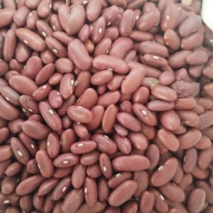 ID 910 – DELOTTE SA – POROTO DARK RED KIDNEY BEANS – DESTINO: PORTUGAL