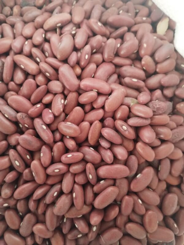 ID 910 – DELOTTE SA – POROTO DARK RED KIDNEY BEANS – DESTINO: PORTUGAL