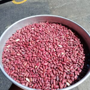 ID 920 - DELOTTE SA - POROTO  DARK RED KIDNEY BEANS - DESTINO: PORTUGAL