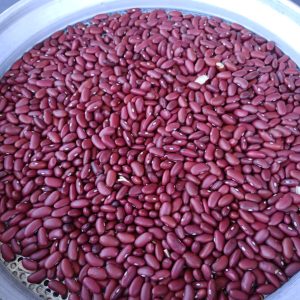 ID 950 - Poroto Dark Red Kidney - Tierra Lejana SA - Destino: Italia