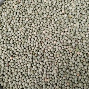 ID 954 - Arveja Verde 5x20 - CTR 327.2024 - Destino: China