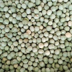 ID 968 - Elementa Foods Argentina SA - CTR 325A-2024 - Arveja Verde - Destino: China