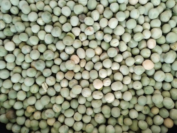 ID 968 - Elementa Foods Argentina SA - CTR 325A-2024 - Arveja Verde - Destino: China