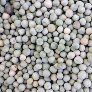 ID 967 - Elementa Foods Argentina SA - CTR 325B2024 - Arveja Verde - Destino: China
