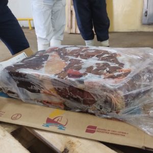 Servicio de Inspección - Portland Logistic - Frozen Boneless Horse Meat