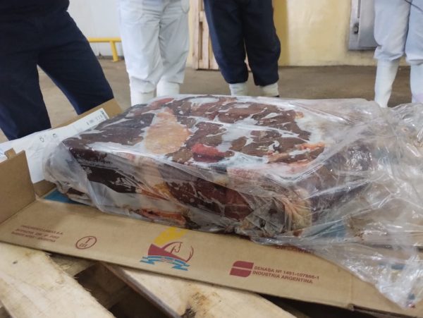 Servicio de Inspección - Portland Logistic - Frozen Boneless Horse Meat