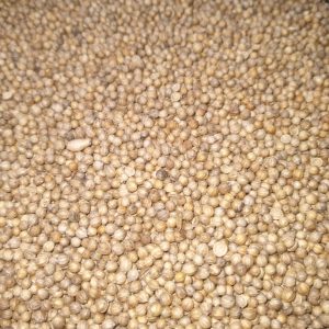 ID 1045 - Elementa Foods Argentina - Coriandro (CTR 372/2025) - Destino: Indonesia