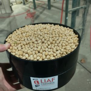 ID 1062 - Garbanzo 7 mm - Elementa Foods Argentina - CTR 377/2025 - Destino: Turquía