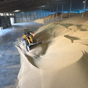 SOYBEAN RECEIPT SERVICE - EXPORT MISKA SA AND SOYAPAMPA SA