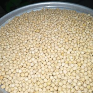 ID 1070 - ELEMENTA FOODS - Garbanzo 7 mm - (379-2025) Destino: Italia