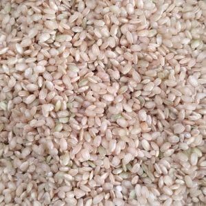 ID 1074 - Iberá Mercantil SA - Arroz Bomba 16x20 a Granel - Destino España