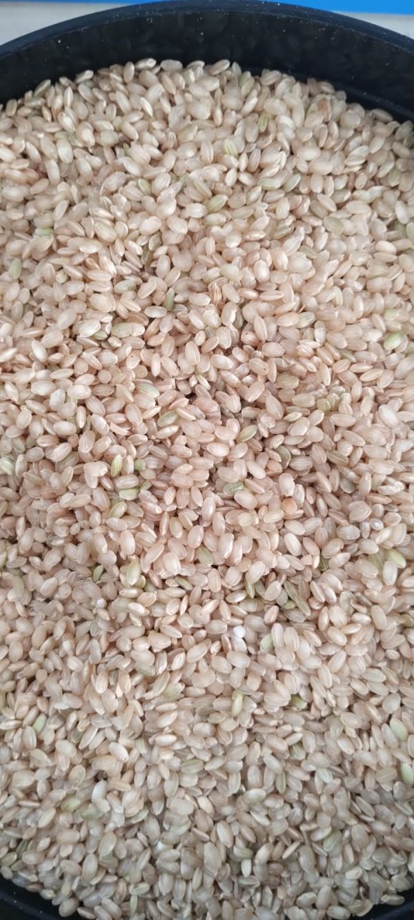 ID 1074 - Iberá Mercantil SA - Arroz Bomba 16x20 a Granel - Destino España